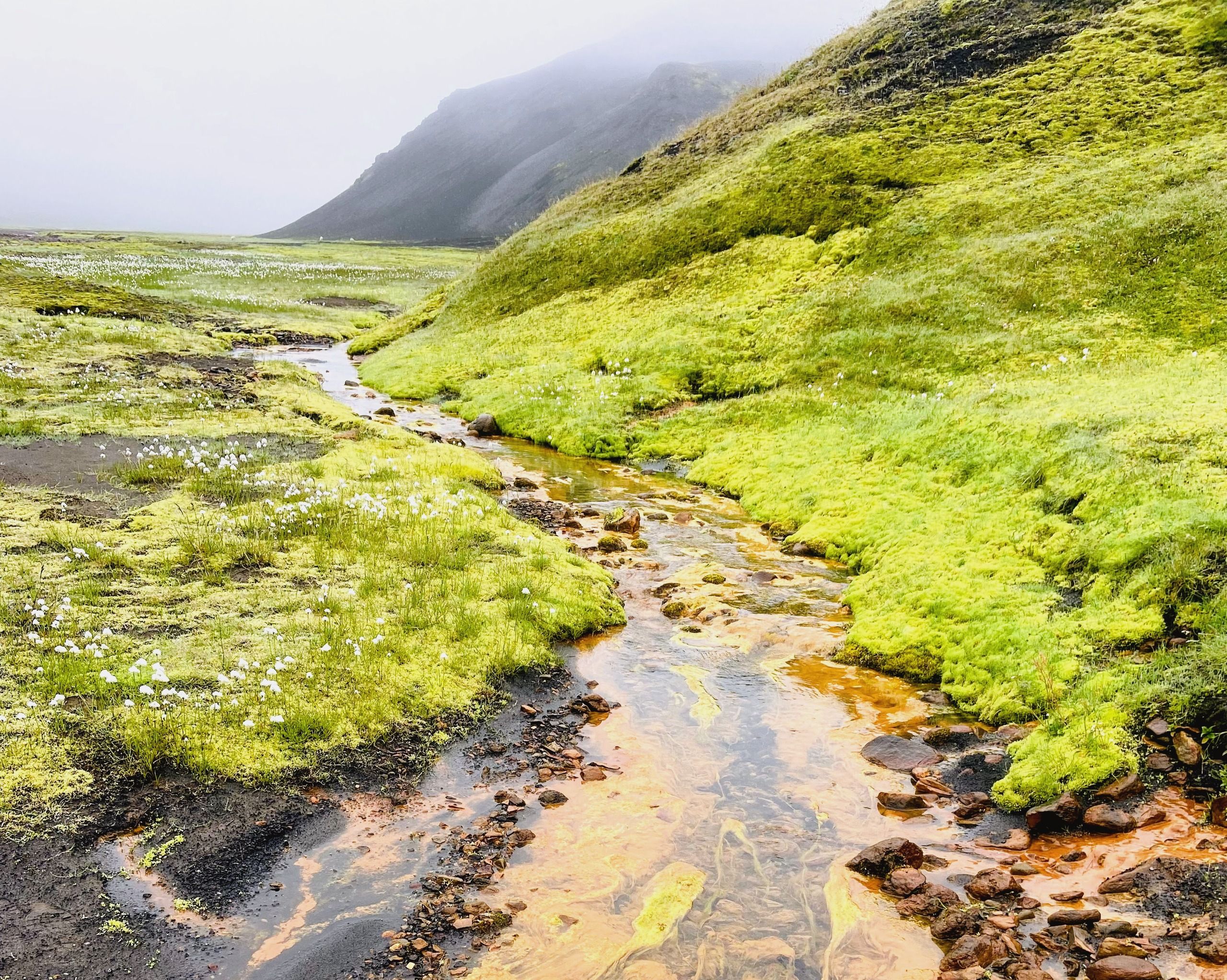 Vivid green moss and a rust-orange geothermal stream in a misty highland valley